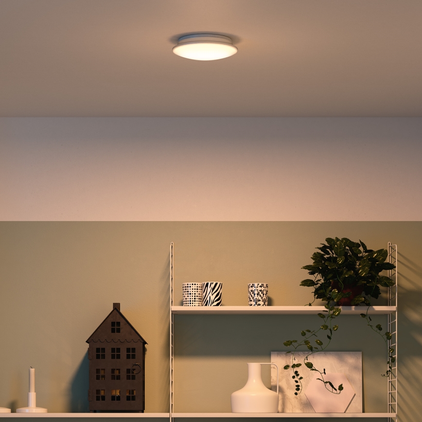 Philips 32096/31/P0 - Stropné svietidlo MYLIVING MAUVE 4xLED/2,5W/230V