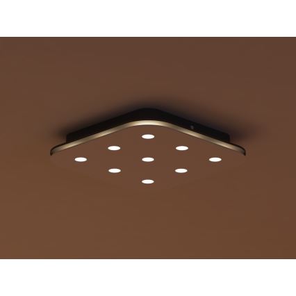 Philips 32157/31/16 - Stropné svietidlo MYLIVING STYLA 9xLED/2,5W/230V