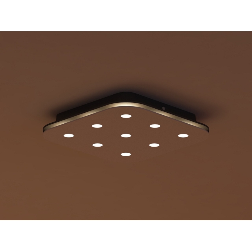 Philips 32157/31/16 - Stropné svietidlo MYLIVING STYLA 9xLED/2,5W/230V