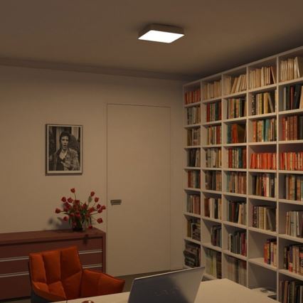 Philips 32203/17/16 - Stropní koupelnové svítidlo INSTYLE PLANO 1x2GX13/40W/230V