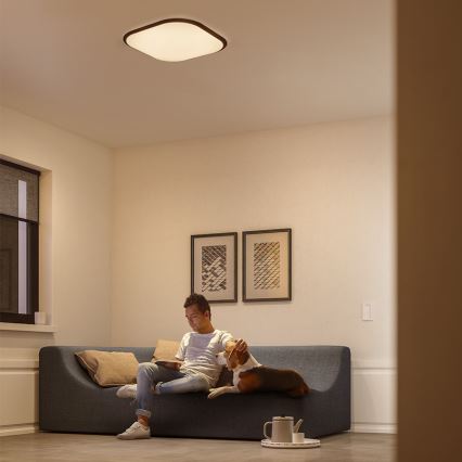 Philips - LED Stmievateľné stropné svietidlo LED/18W/230V