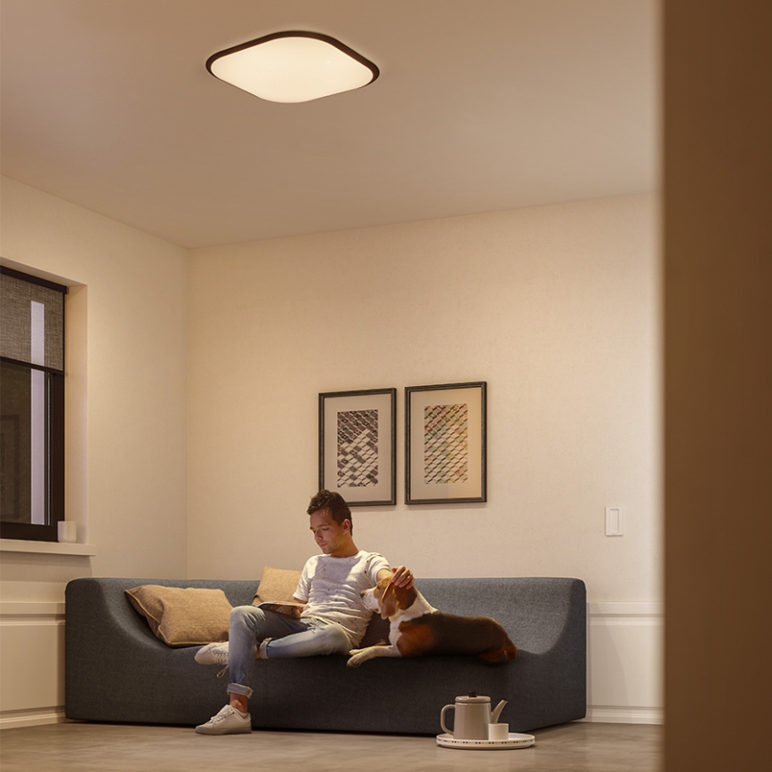 Philips 32810/31/P0 - LED Stmievateľné stropné svietidlo CANAVAL LED/18W/230V