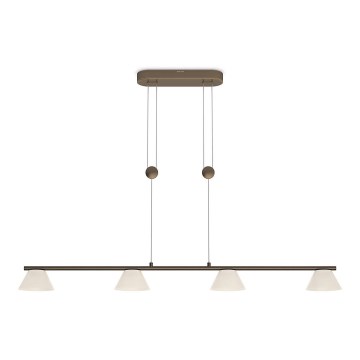 Philips 36027/06/16 - LED závesné svietidlo MYLIVING VENDEE 4xLED/4,5W/230V Philips 36027/06/16 - LED závesné svietidlo MYLIVING VENDEE 4xLED/4,5W/230V