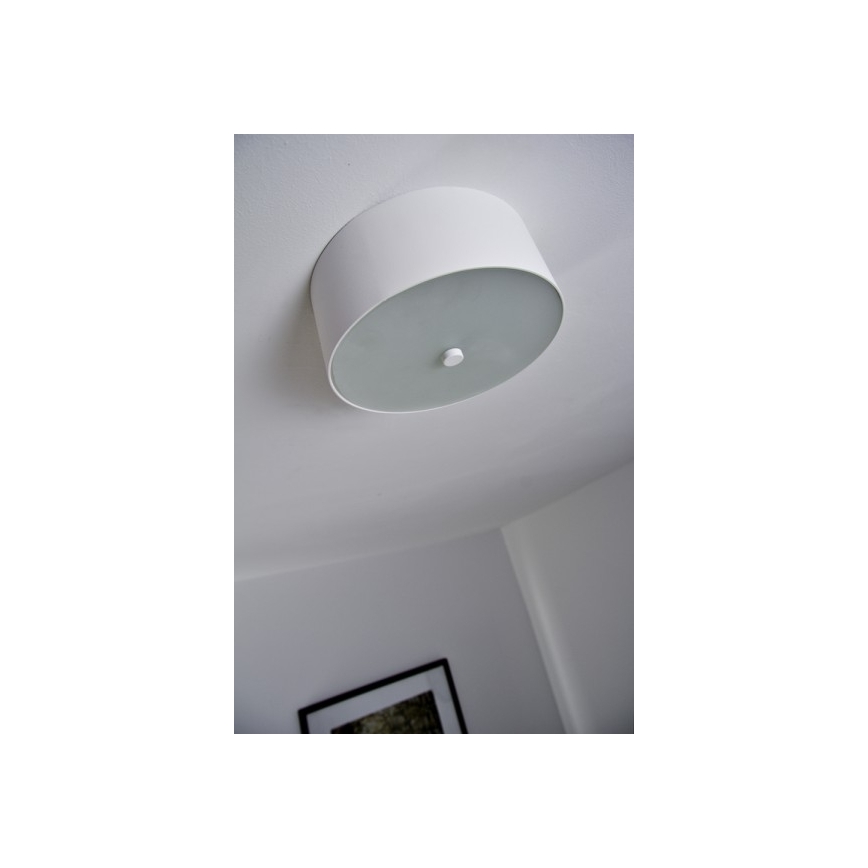 Philips 40832/31/16 - Stropné LED svietidlo MYLIVING SEQUENS 3xLED/2,5W/230V