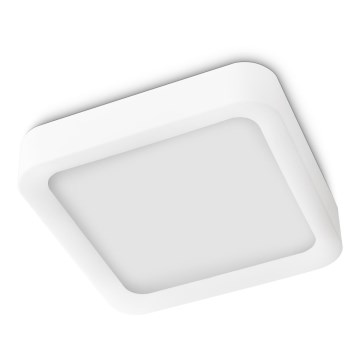 Philips 40833/31/16 - LED stropné svietidlo MYLIVING STIMUS 8xLED/2,5W/230V Philips 40833/31/16 - LED stropné svietidlo MYLIVING STIMUS 8xLED/2,5W/230V