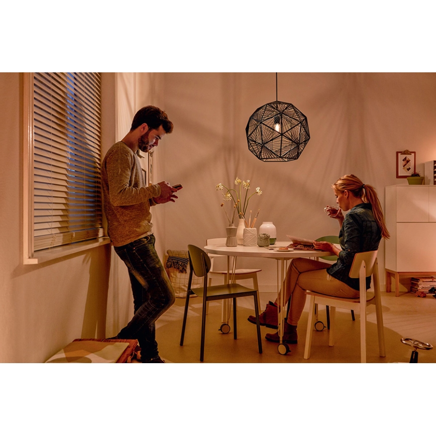 Philips - Závesné svietidlo 1xE27/60W/230V