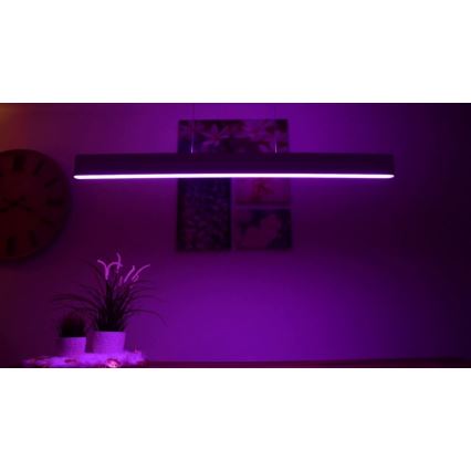 Philips -  LED RGBW Stmievateľný luster na lanku Hue ENSIS White And Color Ambiance 2xLED/39W/230V