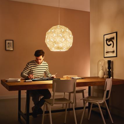 Philips 40914/21/PN - Stropné závesné svietidlo MYLIVING CORKWOOD E27/60W/230V