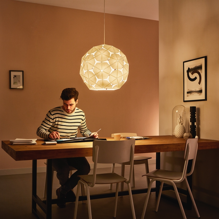 Philips 40914/21/PN - Stropné závesné svietidlo MYLIVING CORKWOOD E27/60W/230V