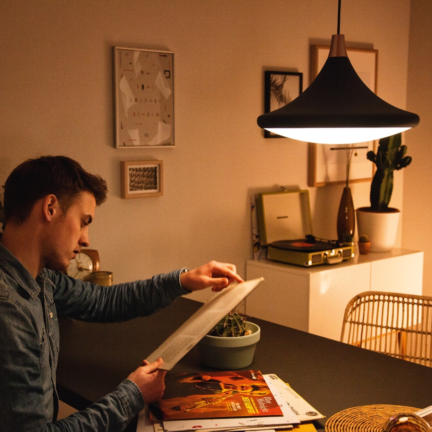 Philips - Luster 1xE27/60W/230V