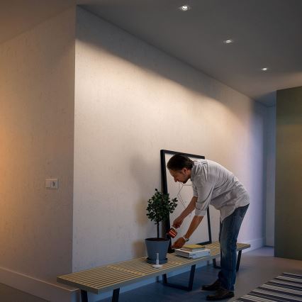 Muž umiestňuje kvetináč s rastlinou na drevenú lavicu v chodbe. V pozadí je svetlá stena a strop s bodovými svetlami.