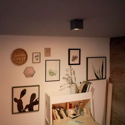 Svietidlo svieti. Nachádza sa na strope miestnosti s obrazmi a nábytkom. Steny sú svetlé, na jednej je polička s knihami a umeleckými potrebami.