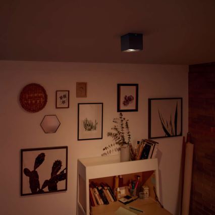 Svietidlo svieti v miestnosti. Na stene sú obrazy a dekorácie. Miestnosť obsahuje skriňu s knihami a umeleckými potrebami.