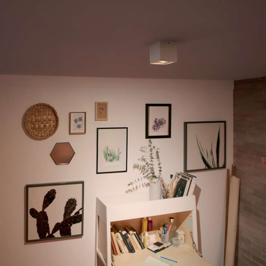 Stropné svetlo svieti v miestnosti. Steny zdobia obrázky rastlín a predmety v rámoch, zavesené na stene nad pracovnou plochou s knihami a umeleckými potrebami.