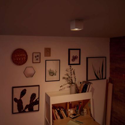 Stropné svietidlo svieti v miestnosti. Miestnosť má steny s obrázkami a nábytkom. Na nábytku sú knihy a umelecké potreby.