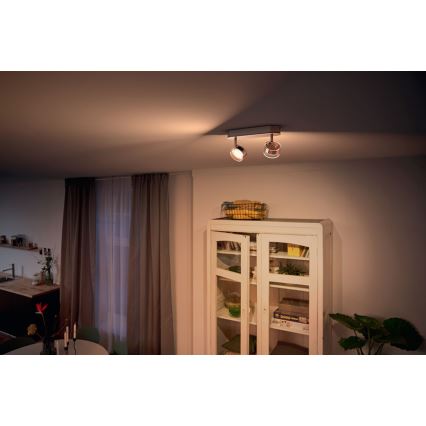Philips 50562/11/P0 - LED bodové svietidlo MYLIVING WORCHESTER 2xLED/4,5W/230V