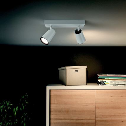 Philips 50572/31/PN - Bodové svietidlo MYLIVING PAISLEY 2xGU10/10W/230V