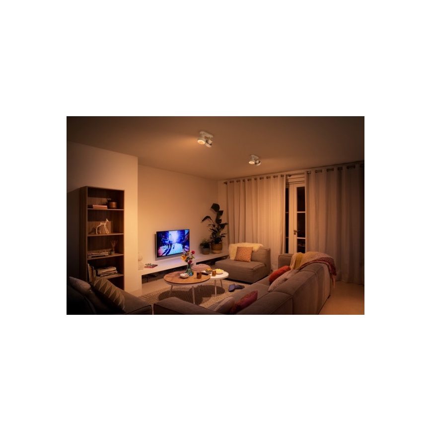 Philips 50602/31/P0 - LED Bodové svietidlo BUKKO 2xLED/4,5W/230V