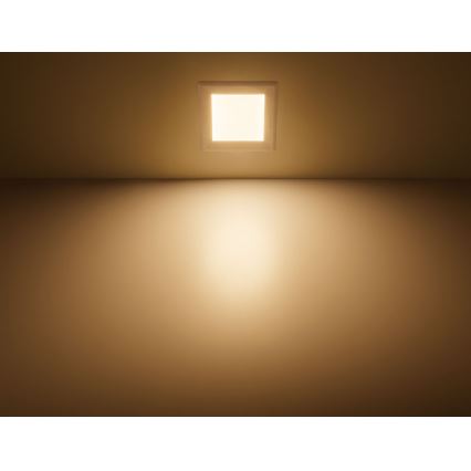 Philips 59832/31/P1 - LED podhľadové svietidlo HADRON 1xLED/12W/230V