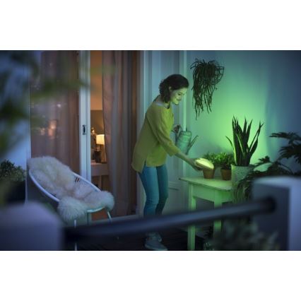 Philips 70104/31/P0 - LED RGB Stmievateľná prenosná lampa CAMELLIA LED/3W/5V