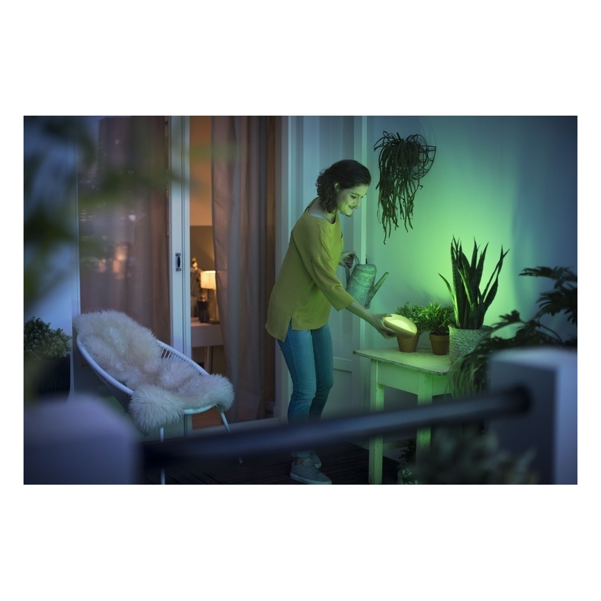 Philips 70104/31/P0 - LED RGB Stmievateľná prenosná lampa CAMELLIA LED/3W/5V