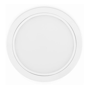 Philips 80088/31/16 - LED podhľadové svietidlo RASTABAN 1xLED/20W/230V