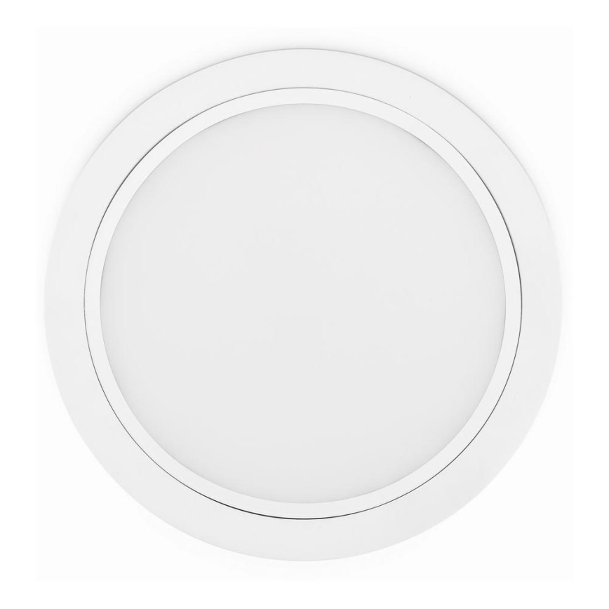 Philips 80088/31/16 - LED podhľadové svietidlo RASTABAN 1xLED/20W/230V