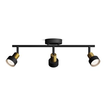 Philips - Bodové svietidlo CONDUIT 3xGU10/5W/230V čierna/mosadz