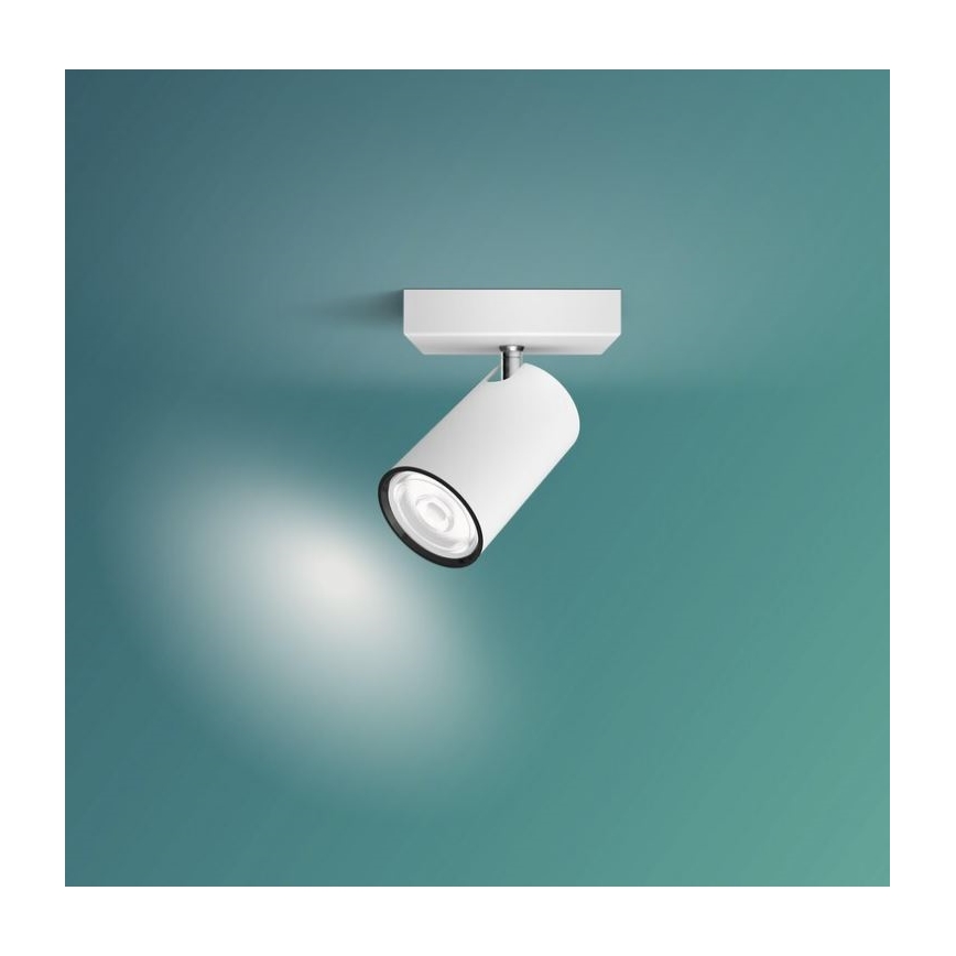 Philips - Bodové svietidlo KOSIPO 1xGU10/5,5W/230V biela