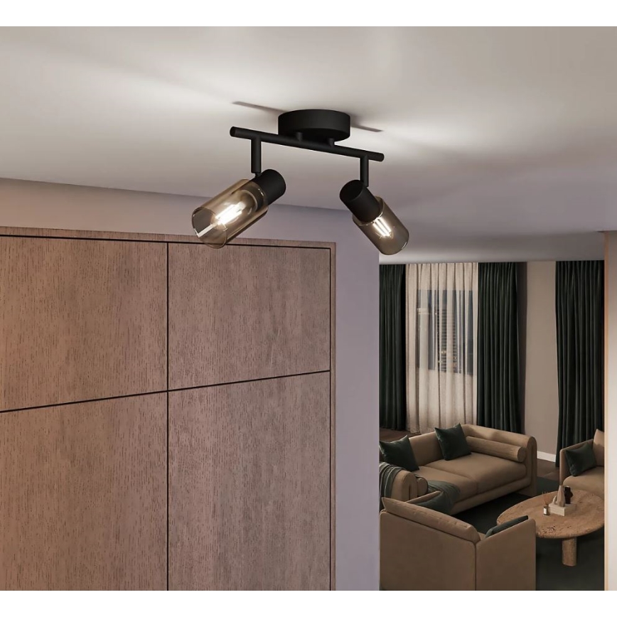 Philips - Bodové svietidlo PALMS 2xE14/25W/230V