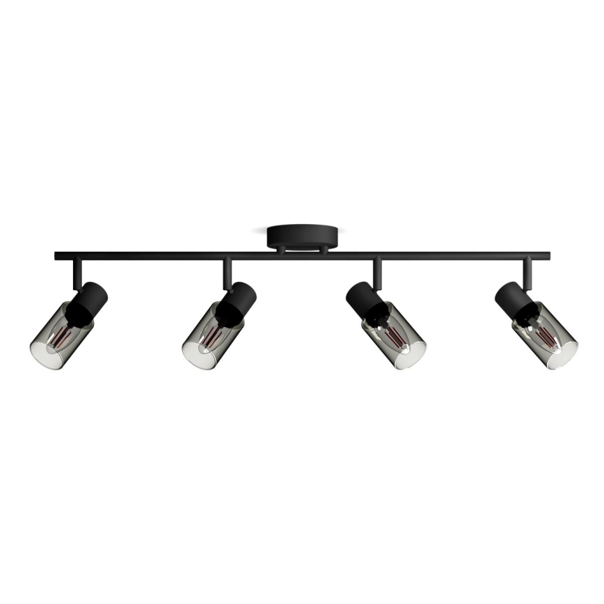 Philips - Bodové svietidlo PALMS 4xE14/25W/230V