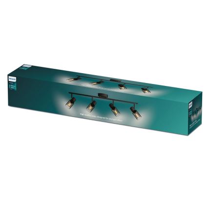 Philips - Bodové svietidlo PALMS 4xE14/25W/230V