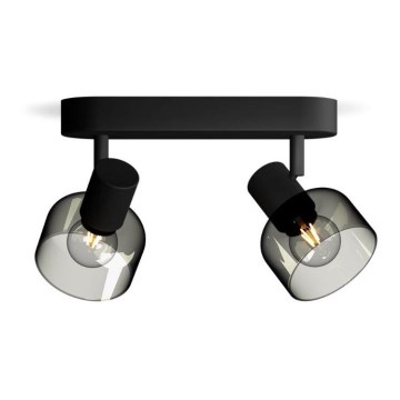 Philips - Bodové svietidlo SLEET 2xE14/25W/230V