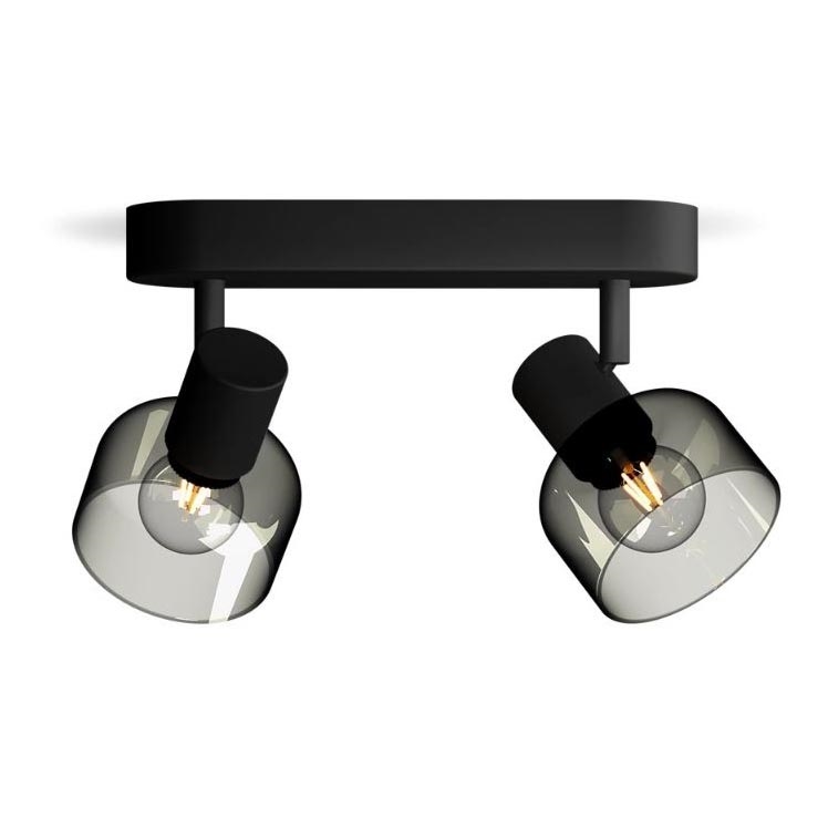 Philips - Bodové svietidlo SLEET 2xE14/25W/230V