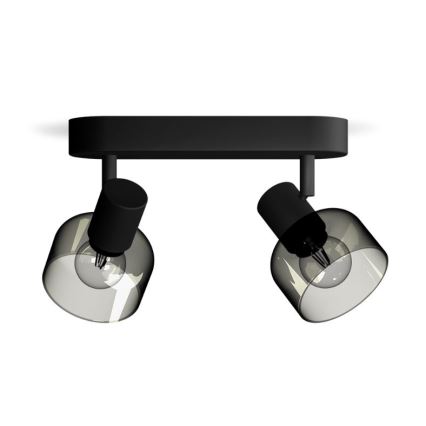 Philips - Bodové svietidlo SLEET 2xE14/25W/230V