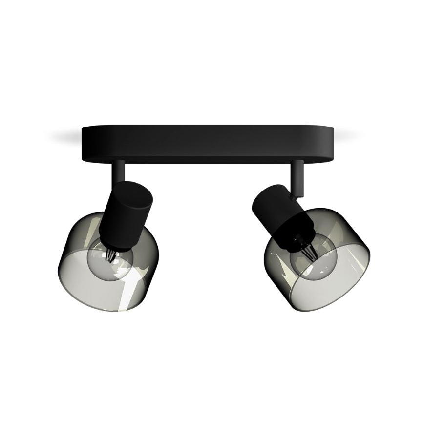 Philips - Bodové svietidlo SLEET 2xE14/25W/230V