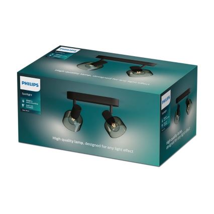 Philips - Bodové svietidlo SLEET 2xE14/25W/230V