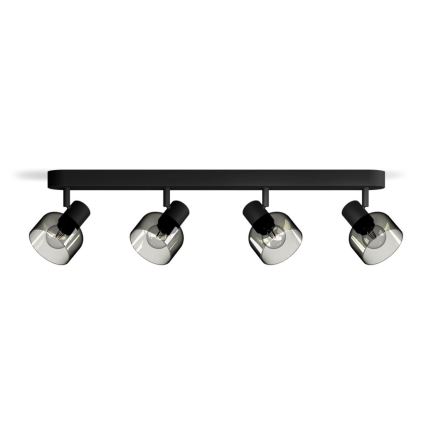 Philips - Bodové svietidlo SLEET 4xE14/25W/230V