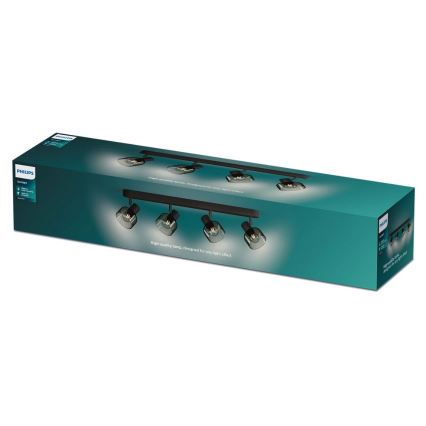 Philips - Bodové svietidlo SLEET 4xE14/25W/230V
