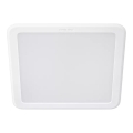 Philips - LED podhľadové svietidlo MESON LED/13W/230V 4000K 14x14 cm