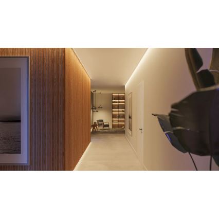 LED pásik osvetľuje dlhú chodbu. Chodba má drevenú stenu, oproti nej sú dvere a nábytok vrátane knižnice. Na podlahe je svetlý betón.