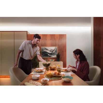 Philips - LED RGBW stmievateľný pásik Hue FLUX 3+2m LED/48,5W/230V 2200-6500K