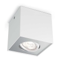 Philips - LED Stmievateľné bodové svietidlo LED/4,5W/230V