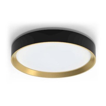 Philips - LED Stmievateľné stropné svietidlo HANNO LED/24W/230V 2700K čierna