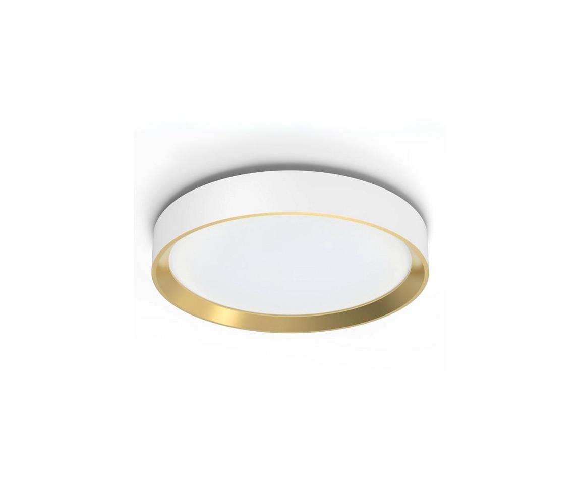 Philips Philips - LED Stmievateľné stropné svietidlo HANNO LED/24W/230V 4000K biela