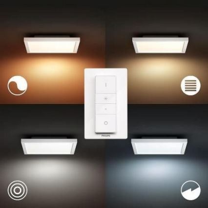 Philips - LED Stmievateľné stropné svietidlo Hue LED/19W/230V 2200-6500K + diaľkové ovládanie