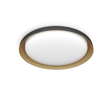 Philips - LED Stmievateľné stropné svietidlo PEBBLO SCENE SWITCH LED/10W/230V 2700K čierna