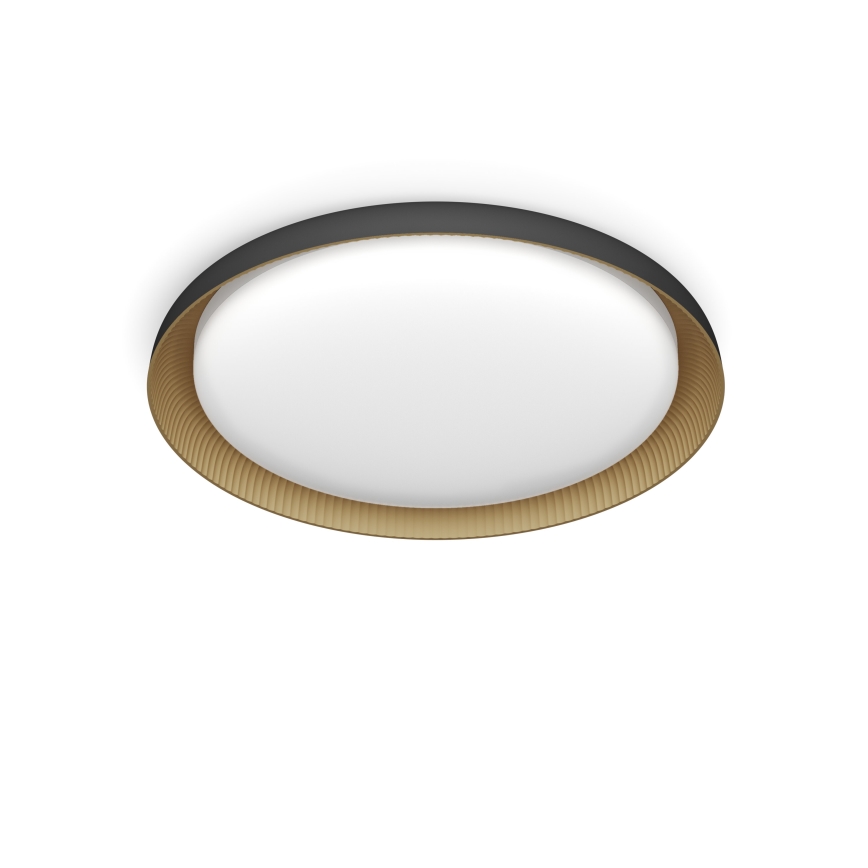 Philips - LED Stmievateľné stropné svietidlo PEBBLO SCENE SWITCH LED/10W/230V 2700K čierna