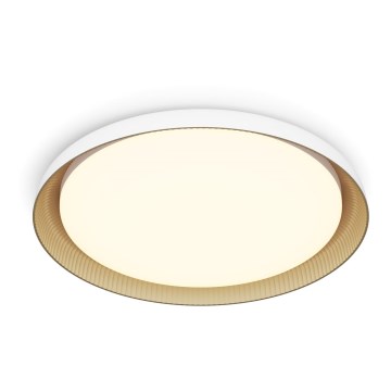 Philips - LED Stmievateľné stropné svietidlo PEBBLO SCENE SWITCH LED/10W/230V 2700K biela