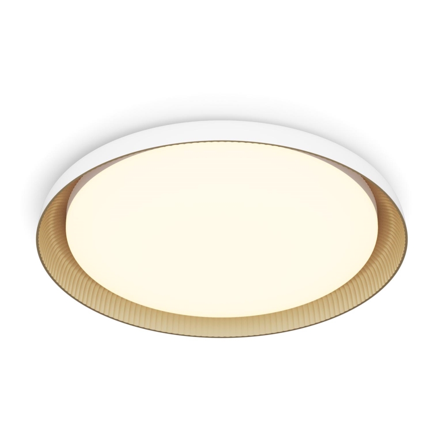 Philips - LED Stmievateľné stropné svietidlo PEBBLO SCENE SWITCH LED/10W/230V 2700K biela